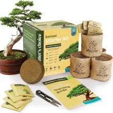  Bonsai Starter Kit for Gardening